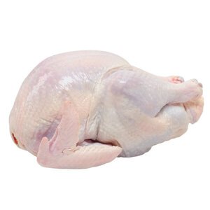 Frozen Whole Turkey
