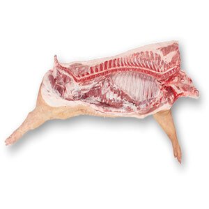 Frozen Pork Carcass